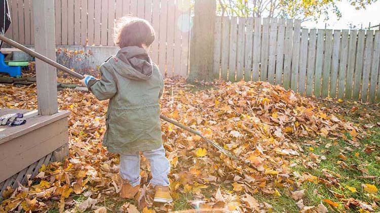 Niño pequeño ayudando con el mantenimiento del patio de otoño rastrillando hojas.