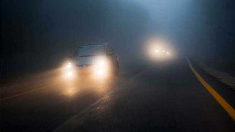 Niebla densa en una carretera.