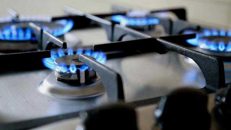 Hornilla de estufa de gas con llamas azules.