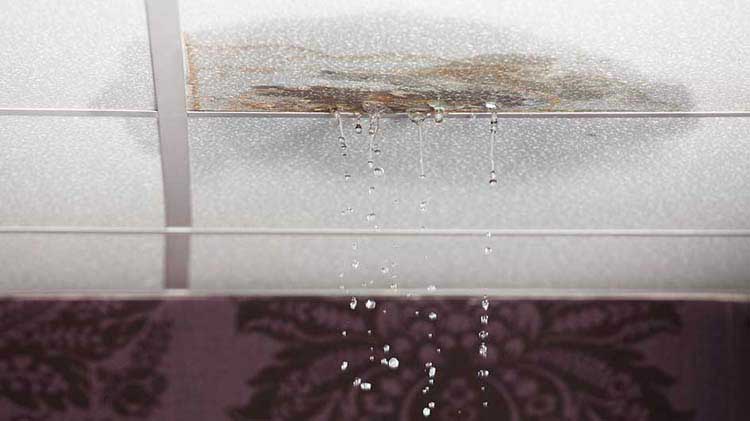 Deje caer el agua de las baldosas del techo con fugas.