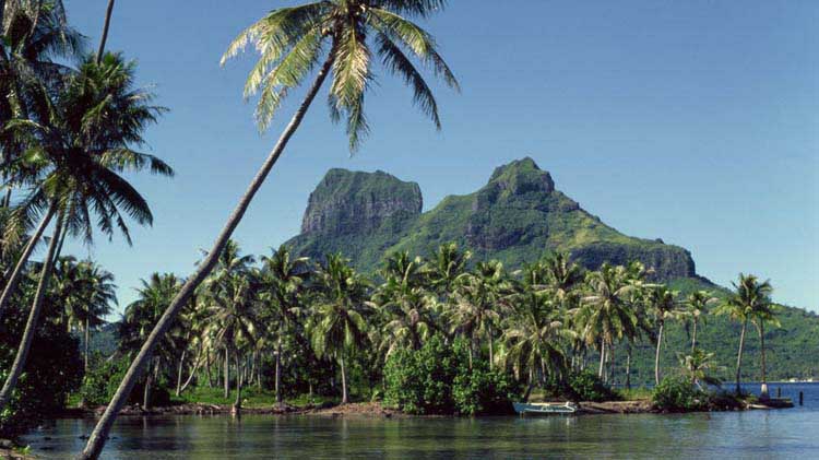 Isla volcánica con palmeras y pequeño barco de pesca.