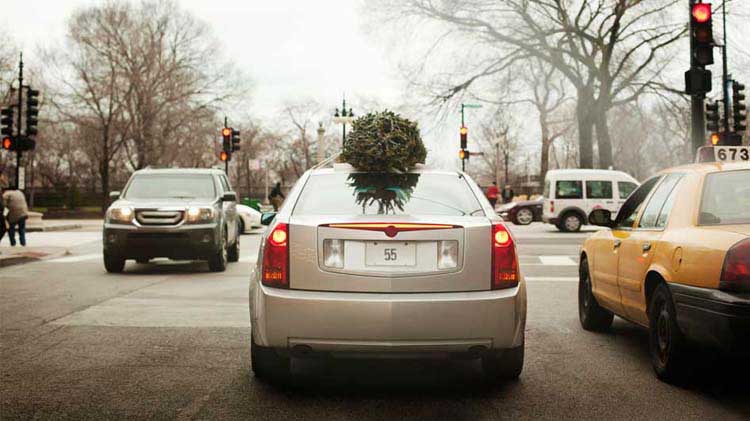 Manejar un carro con un árbol de Navidad encima