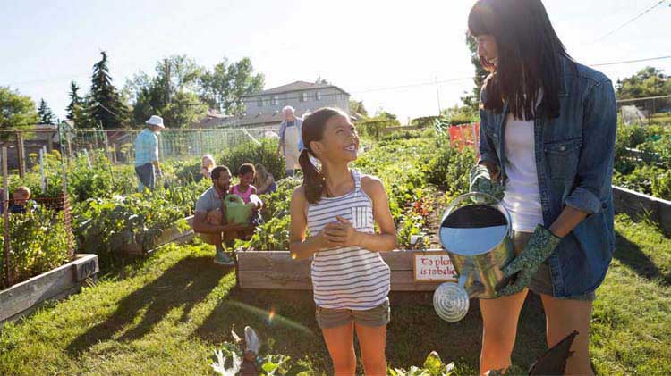 Jardinería comunitaria y urbana