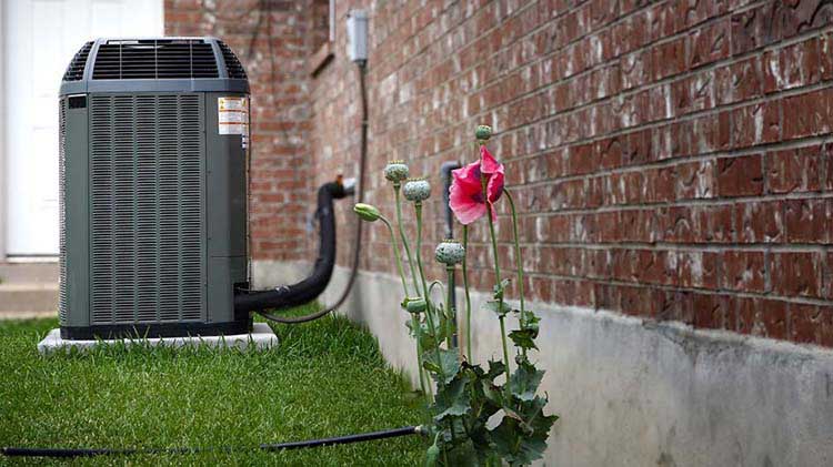 Flores y una unidad de aire acondicionado en el exterior de una casa de ladrillo.
