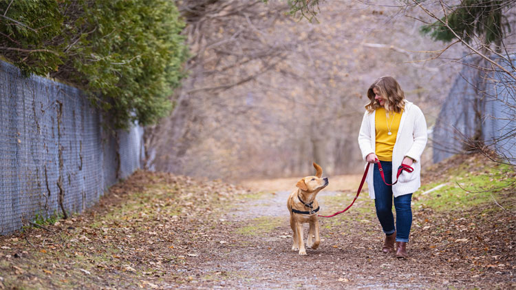 Mujer pasea llevando a su perro con correa y arnés.