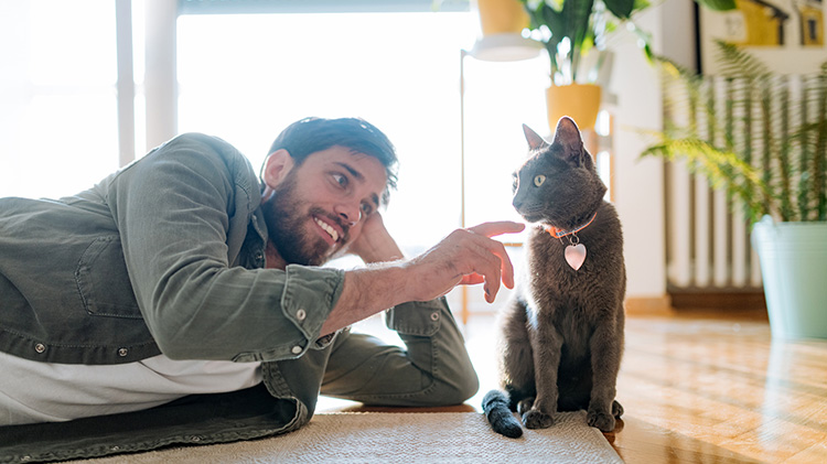 Hombre en el suelo de la sala jugando con su gato.