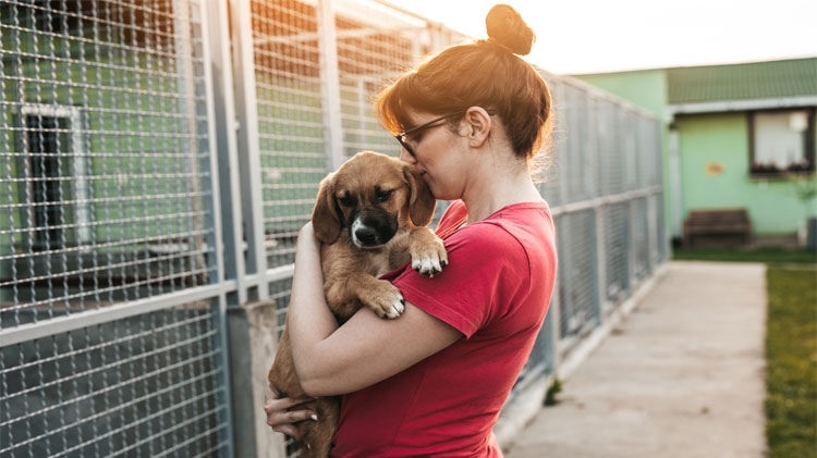 Una mujer en un refugio de animales adopta un perro