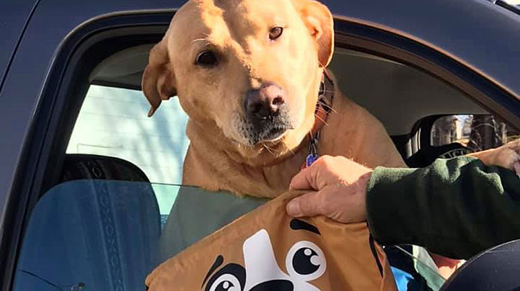 Un perro recibe un paquete de provisiones de The Humane Society of the United States
