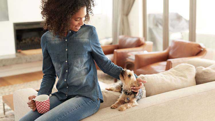 Una joven sentada en su apartamento limpio y bien mantenido sostiene una taza mientras acaricia a su perrito.