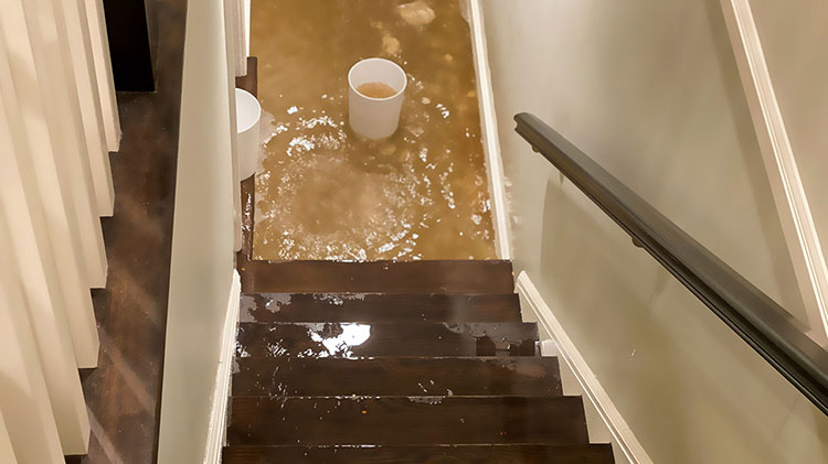 Vista por la escalera a un sótano inundado y un cubo lleno de agua en el último escalón.