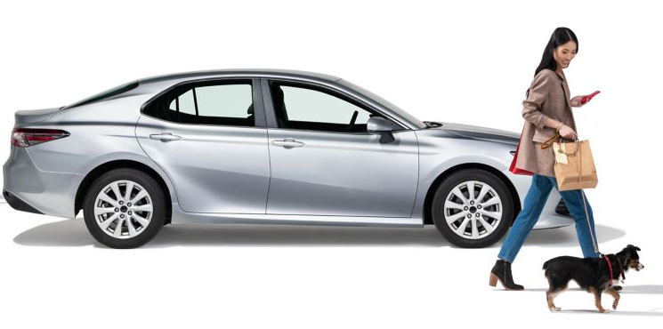 Una mujer pasea a su perro junto a un sedán gris estacionado.